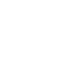 Power Icon