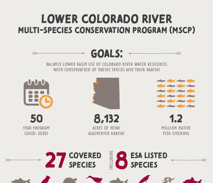 CAP MSCP Infographic