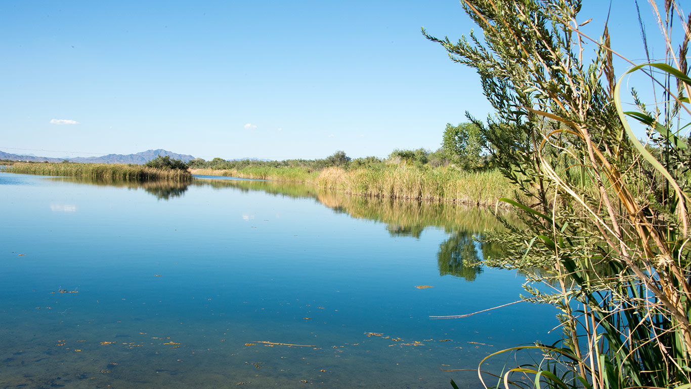 Colorado River Cibola Wildlife Refuge