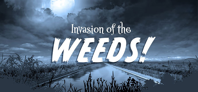 Invasion of the Weeds Graphic