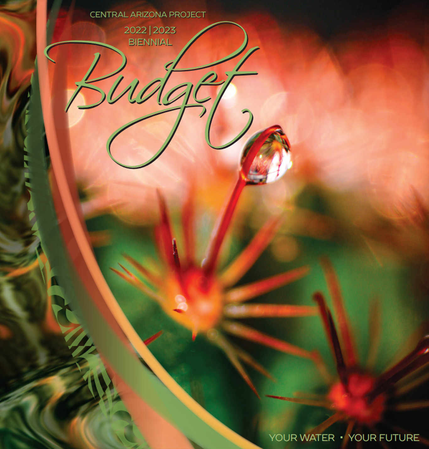 Budget Document Cover Image