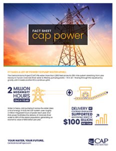 Thumbnail of CAP Power Fact Sheet