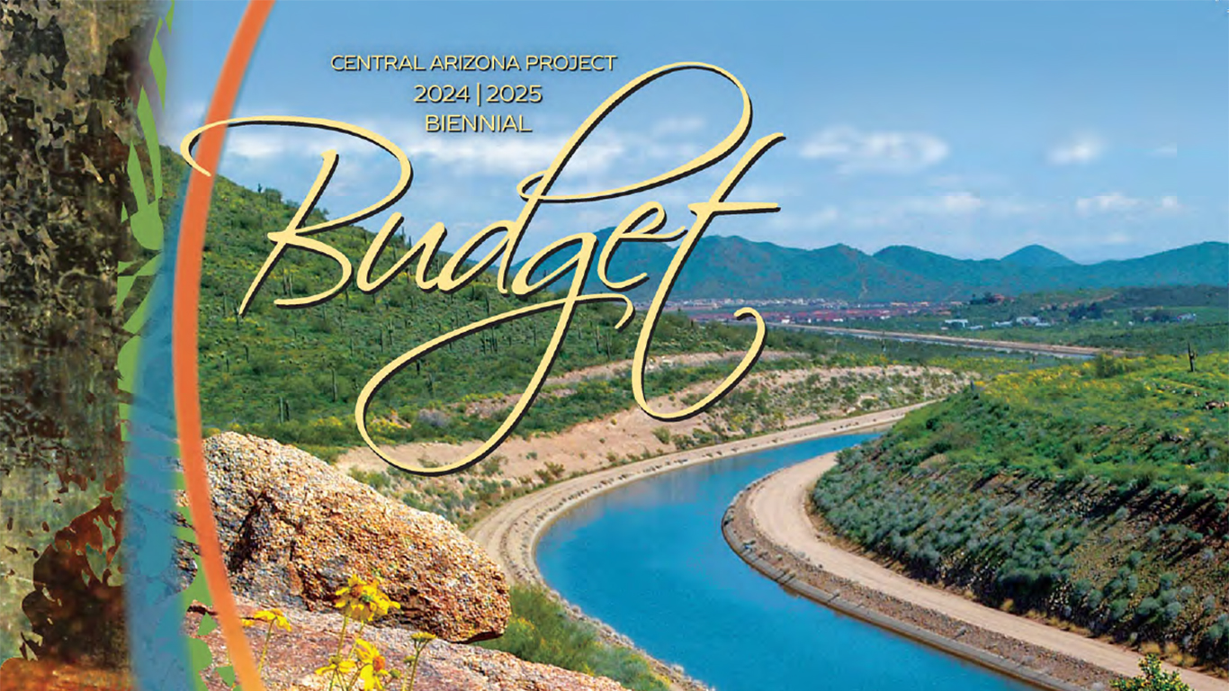 CAP budget document cover