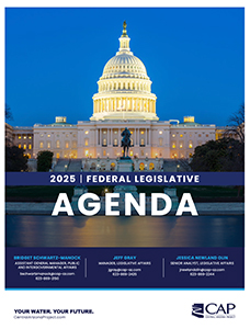 Federal Legislative agenda 2025 thumbnail