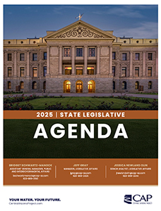 Thumbnail of 2025 State Agenda