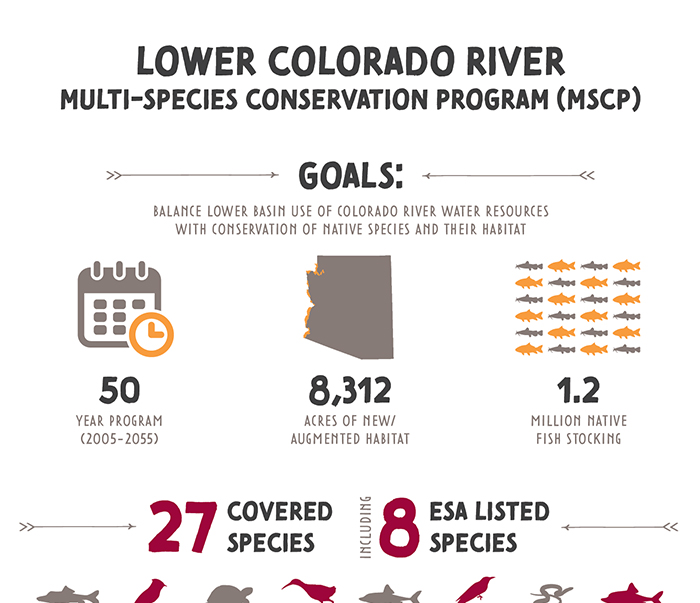 CAP MSCP Infographic
