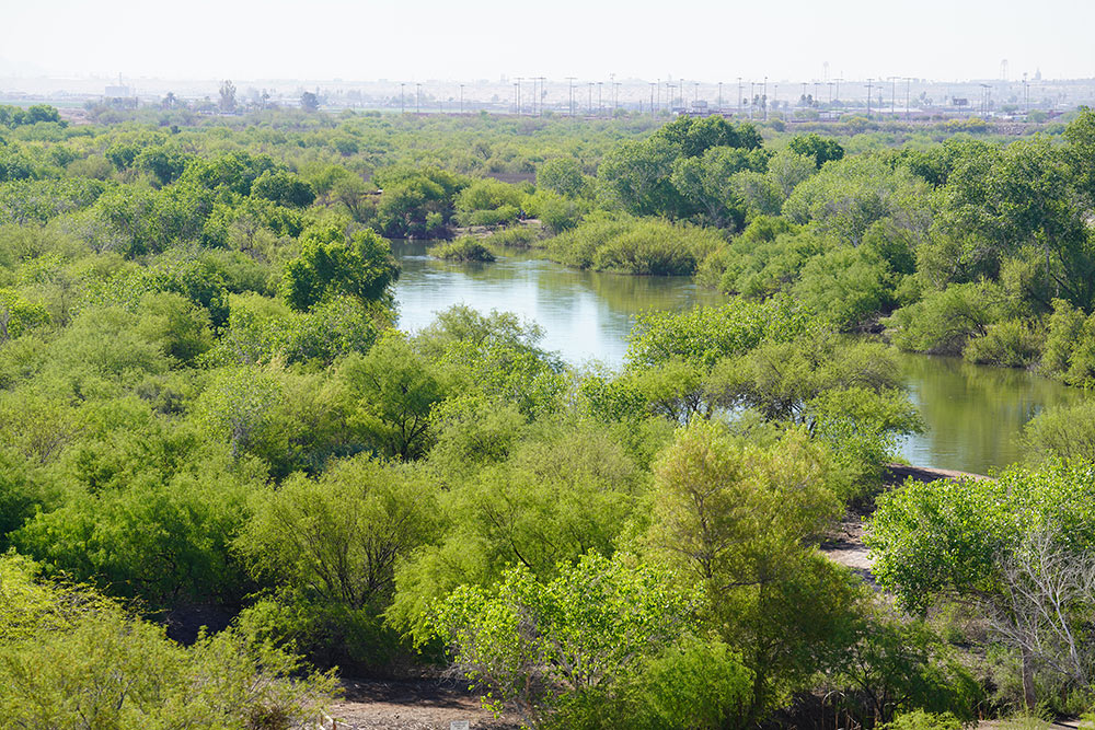Arial view of Yuma East Wetlands