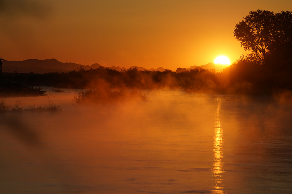 Yuma East Wetlands at sunset