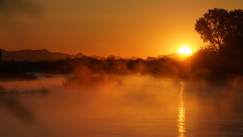 Yuma East Wetlands at sunset