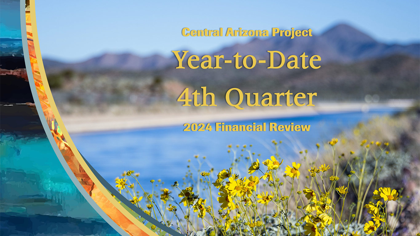 CAP 4th Quarter 2024 Financial Review Cover