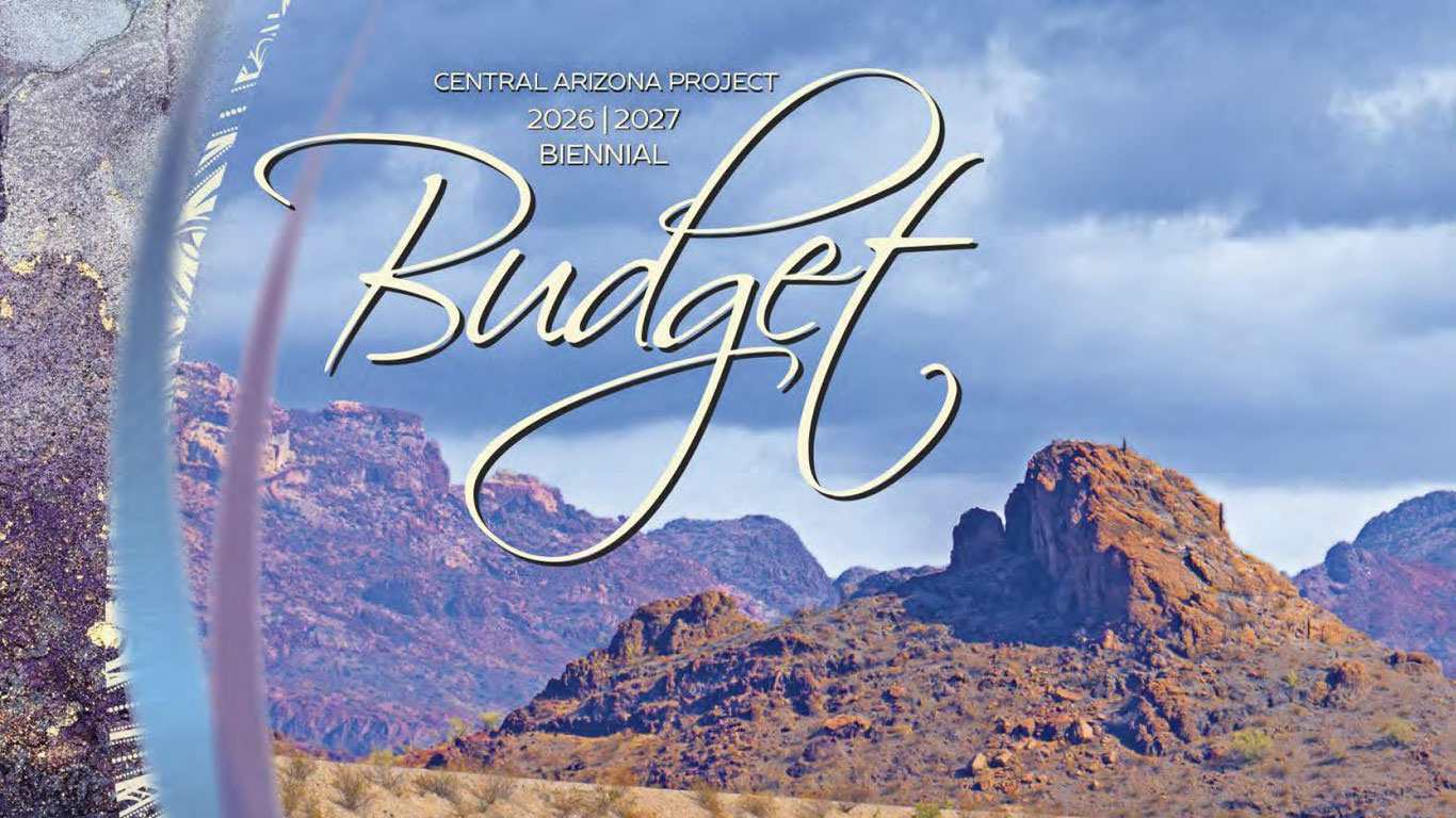 CAP budget document cover