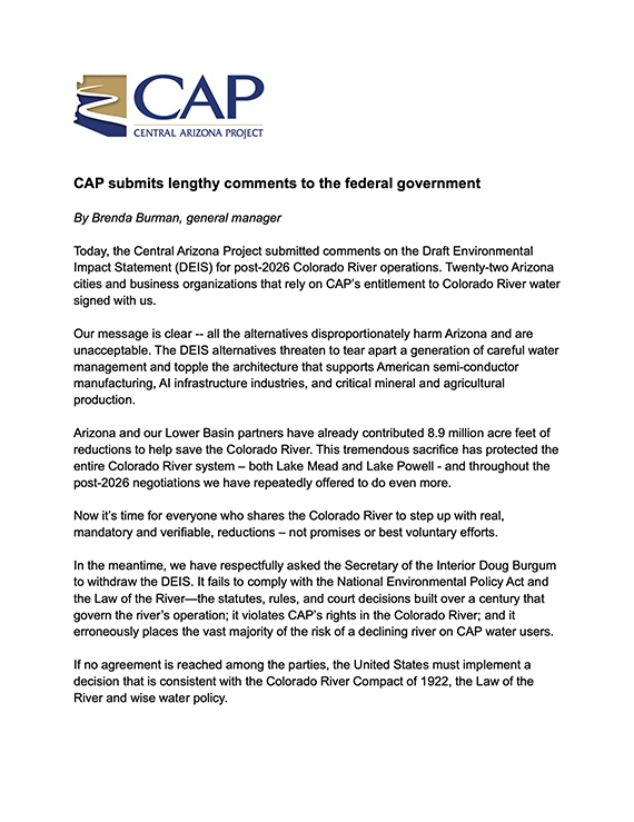 CAP DEIS Comments thumbnail